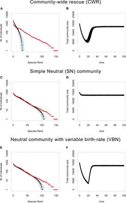 Uniting Community Ecology and Evolutionary Rescue Theory: Community-Wide Rescue Leads to a Rapid Loss of Rare Species